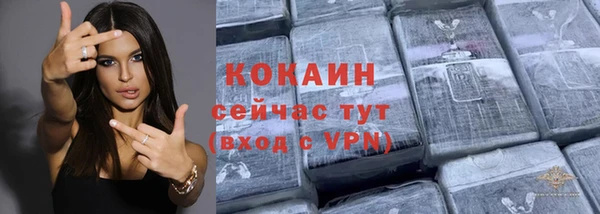 индика Аркадак