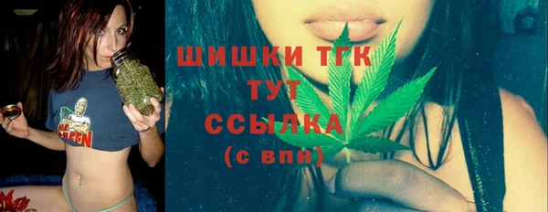 индика Аркадак