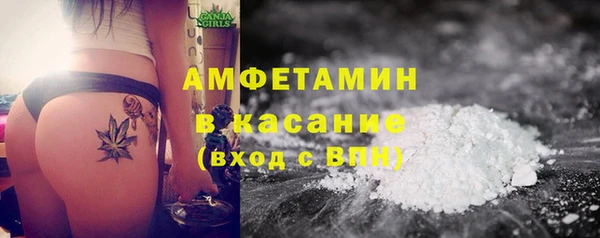индика Аркадак