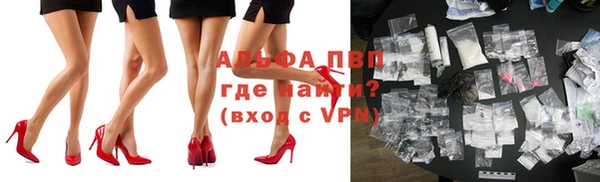 индика Аркадак