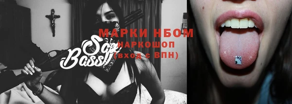 индика Аркадак
