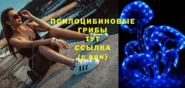 индика Аркадак