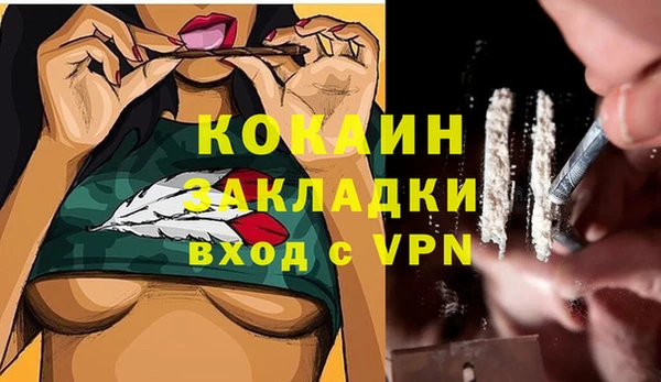 индика Аркадак