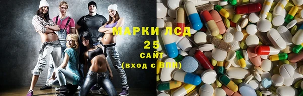 индика Аркадак
