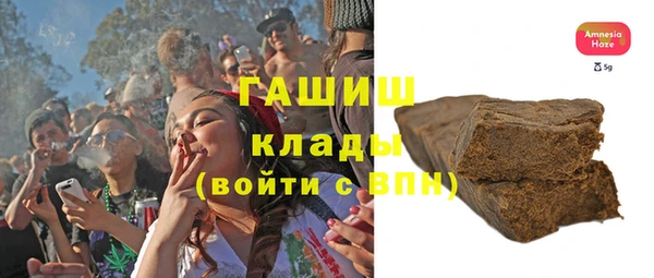 индика Аркадак