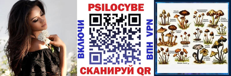 Псилоцибиновые грибы Psilocybe  Аткарск 